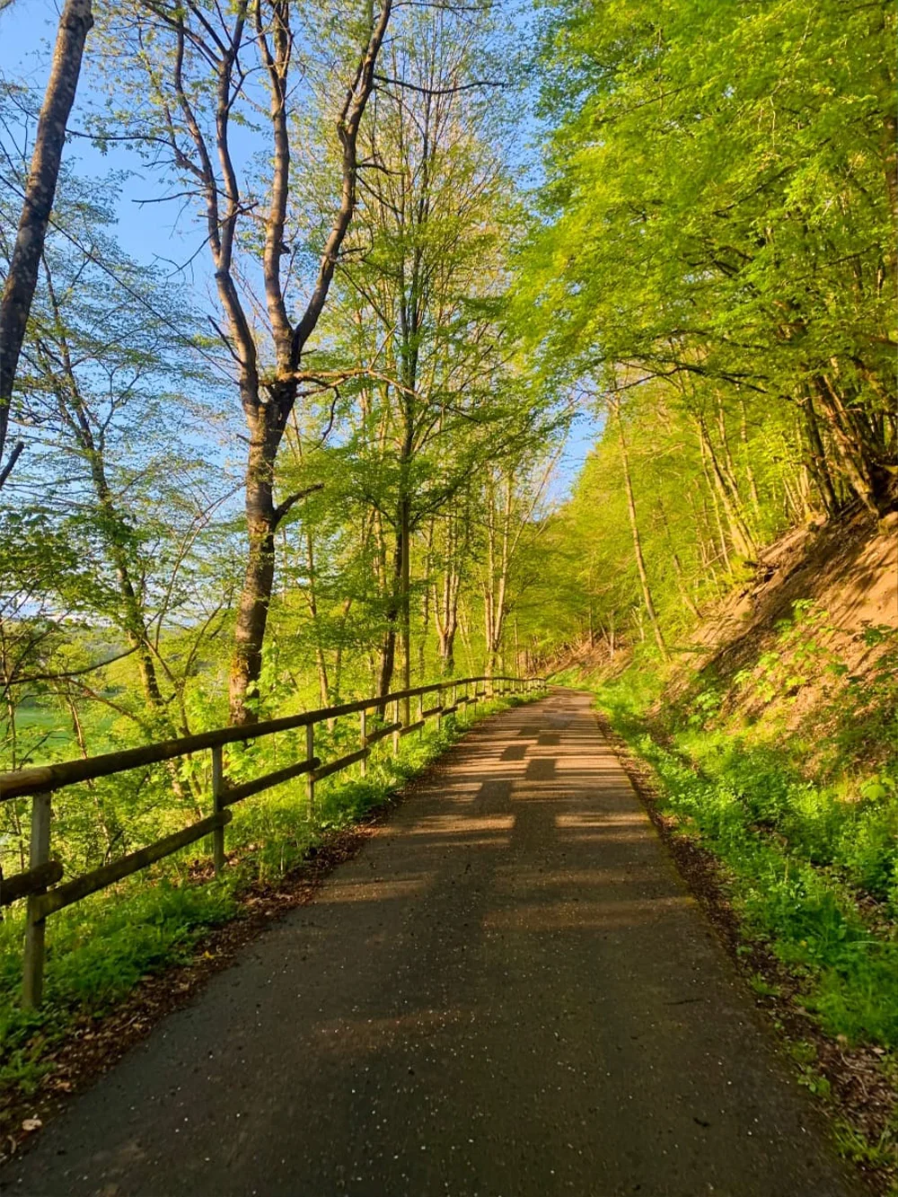 Fietspad in de Vulkaneifel bij Gerolstein langs een rivier in prachtig groen en zon.