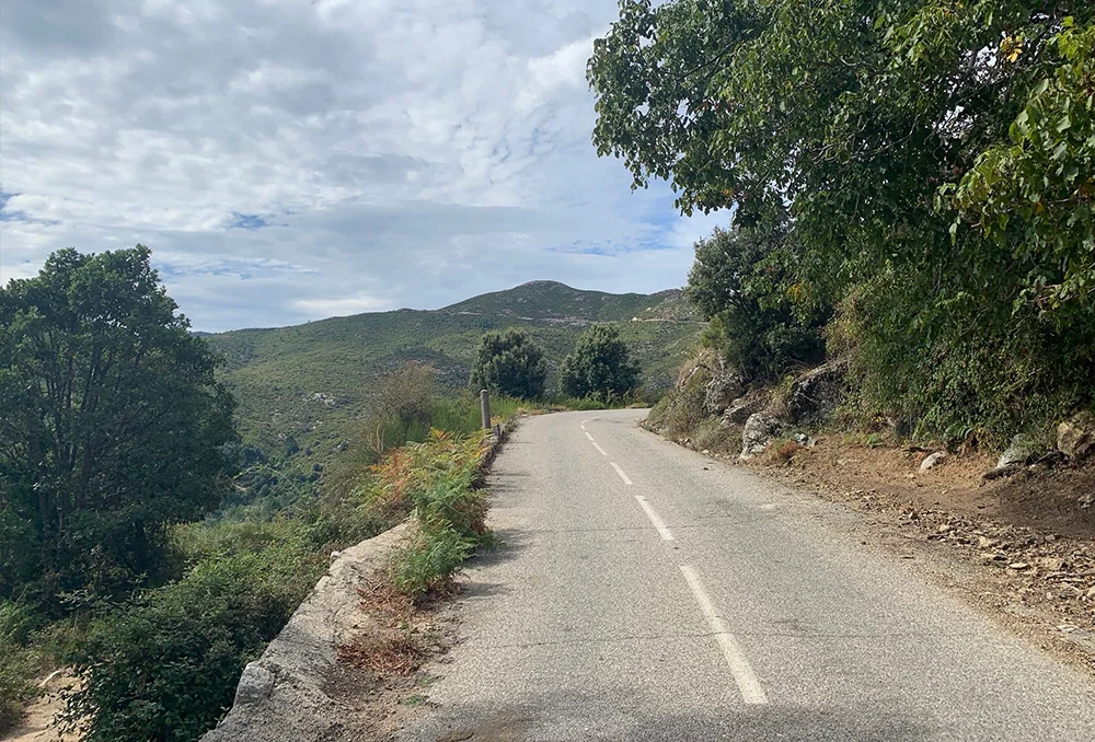 Natuur en de asfaltweg in de omgeving Bastia, Corsica