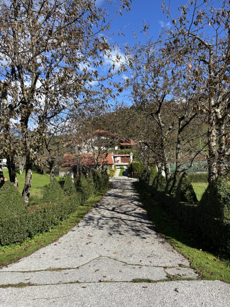 Livek Slovenie een oprit van een accommodatie in de natuur met blauwe lucht